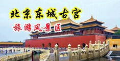 操美女bb中国北京-东城古宫旅游风景区